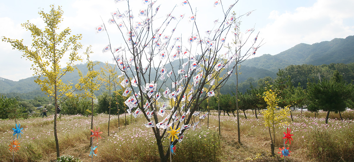 축제사진